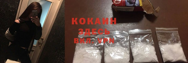 шишки Богданович