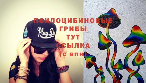 герыч Струнино