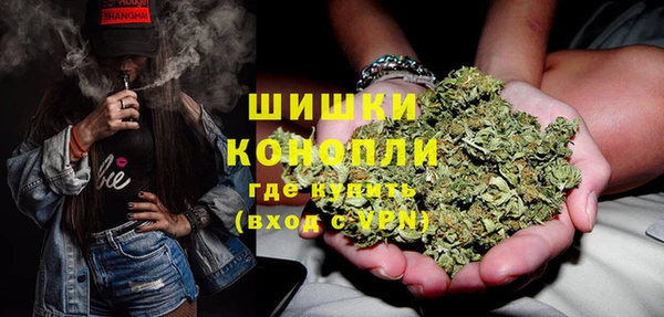 шишки Богданович
