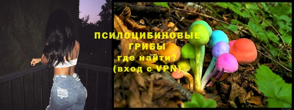 шишки Богданович