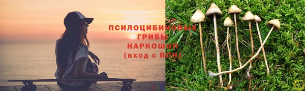 шишки Богданович