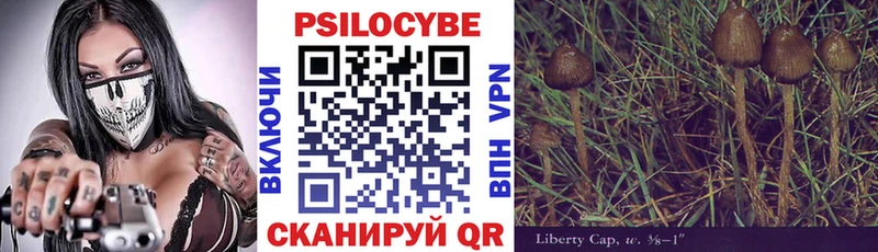 Галлюциногенные грибы Cubensis  Ильский 